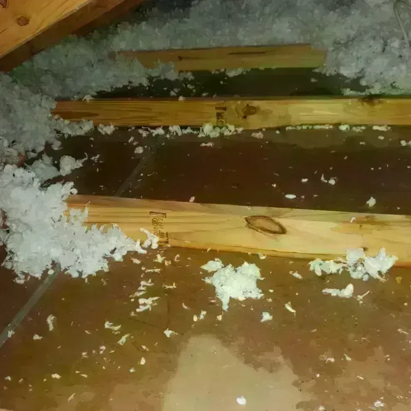 Attic Water Damage in Sorrento Valley, CA