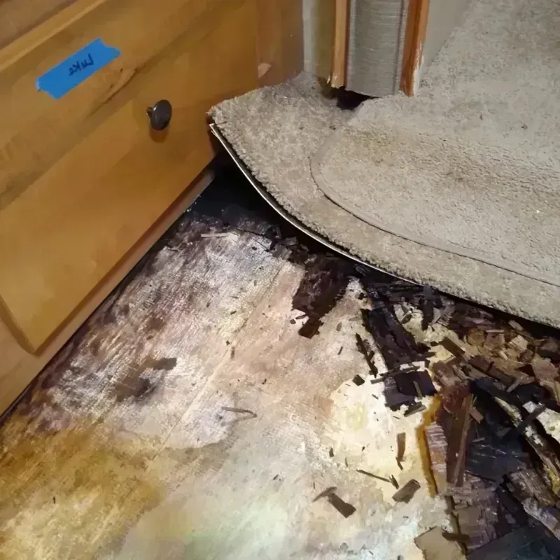 Best Wood Floor Water Damage Service in Sorrento Valley, CA